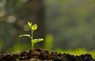 Certificado de compostaje doméstico AS