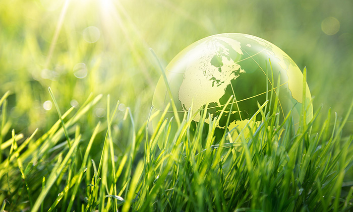 Calidad primero, satisfacción del cliente