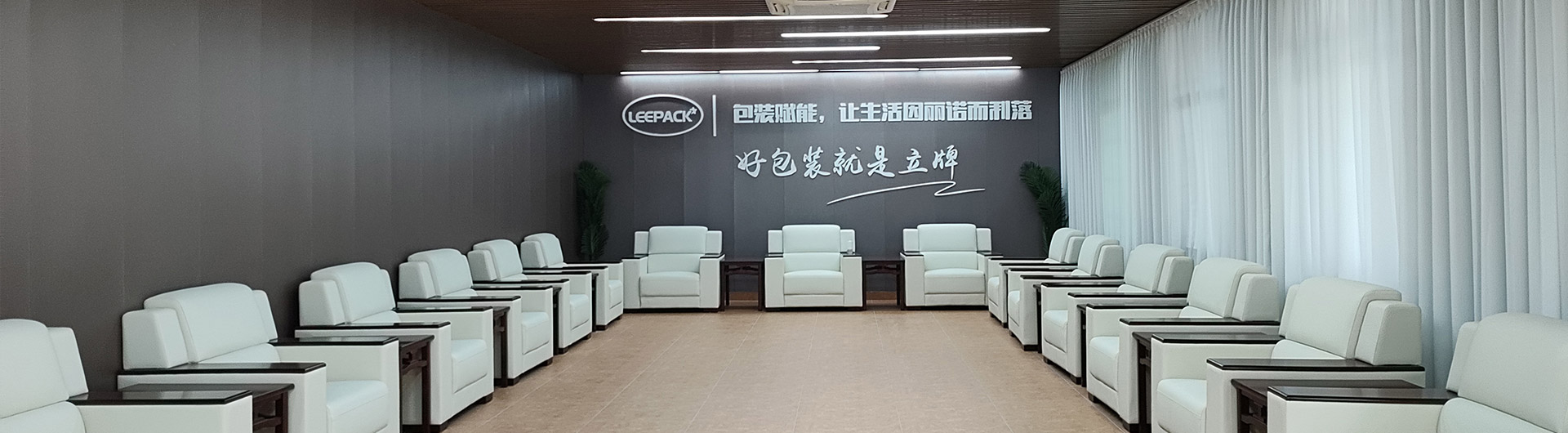 Concepto de desarrollo